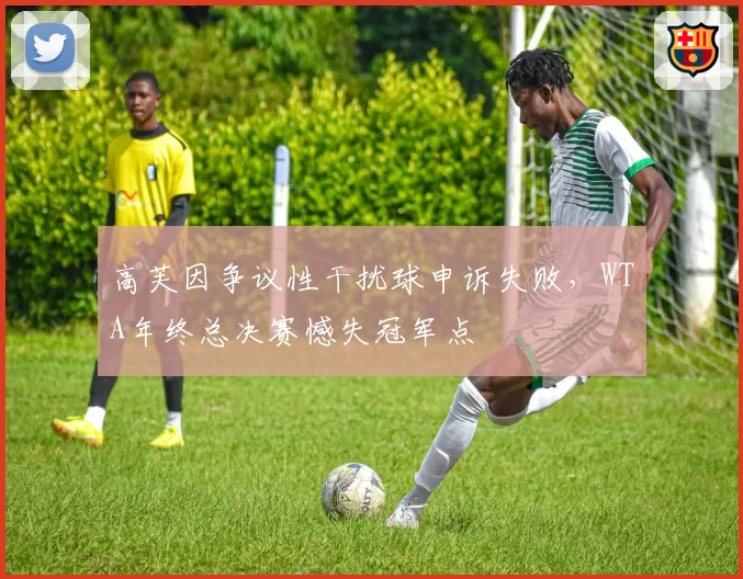 高芙因争议性干扰球申诉失败,WTA年终总决赛憾失冠军点