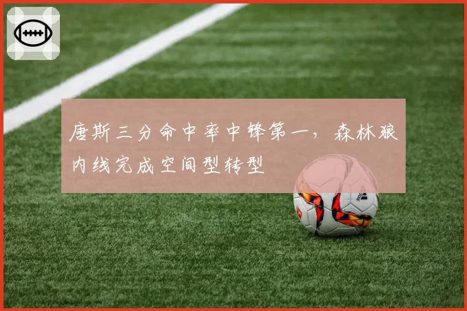 唐斯三分命中率中锋第一,森林狼内线完成空间型转型